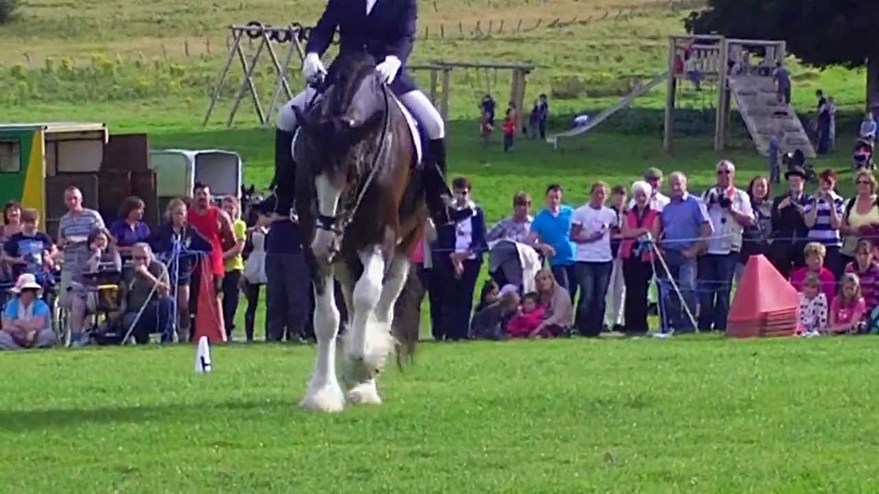 Dressage to music at North Wales Shire Open Day